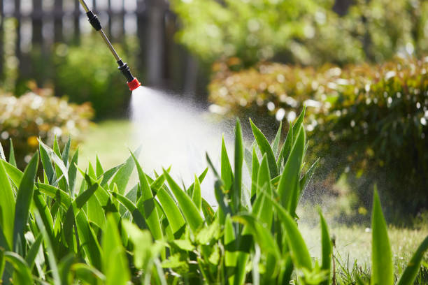 Tamper-Resistant Bait Stations for Rodents in Harmony