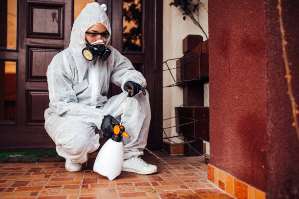 Attic and Crawl Space Rodent Treatment in Harmony