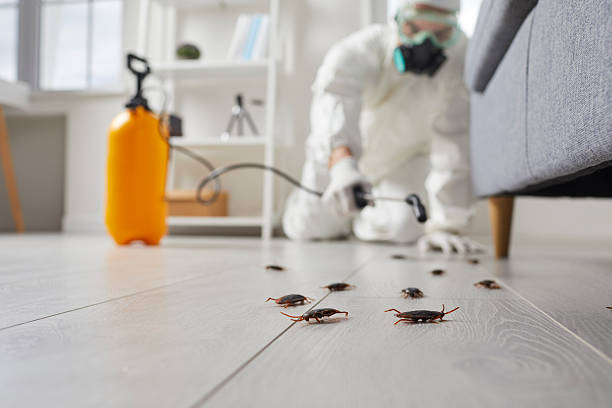 Commercial Rodent Management in Harmony